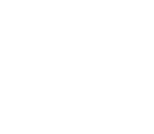 事業領域